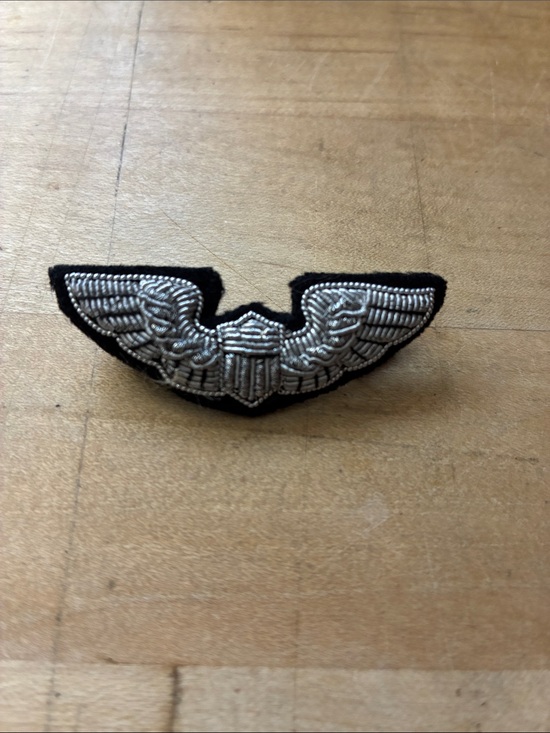 Jewelry - Vintage Embroidered Wings Brooch!